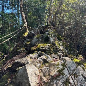 登り返し