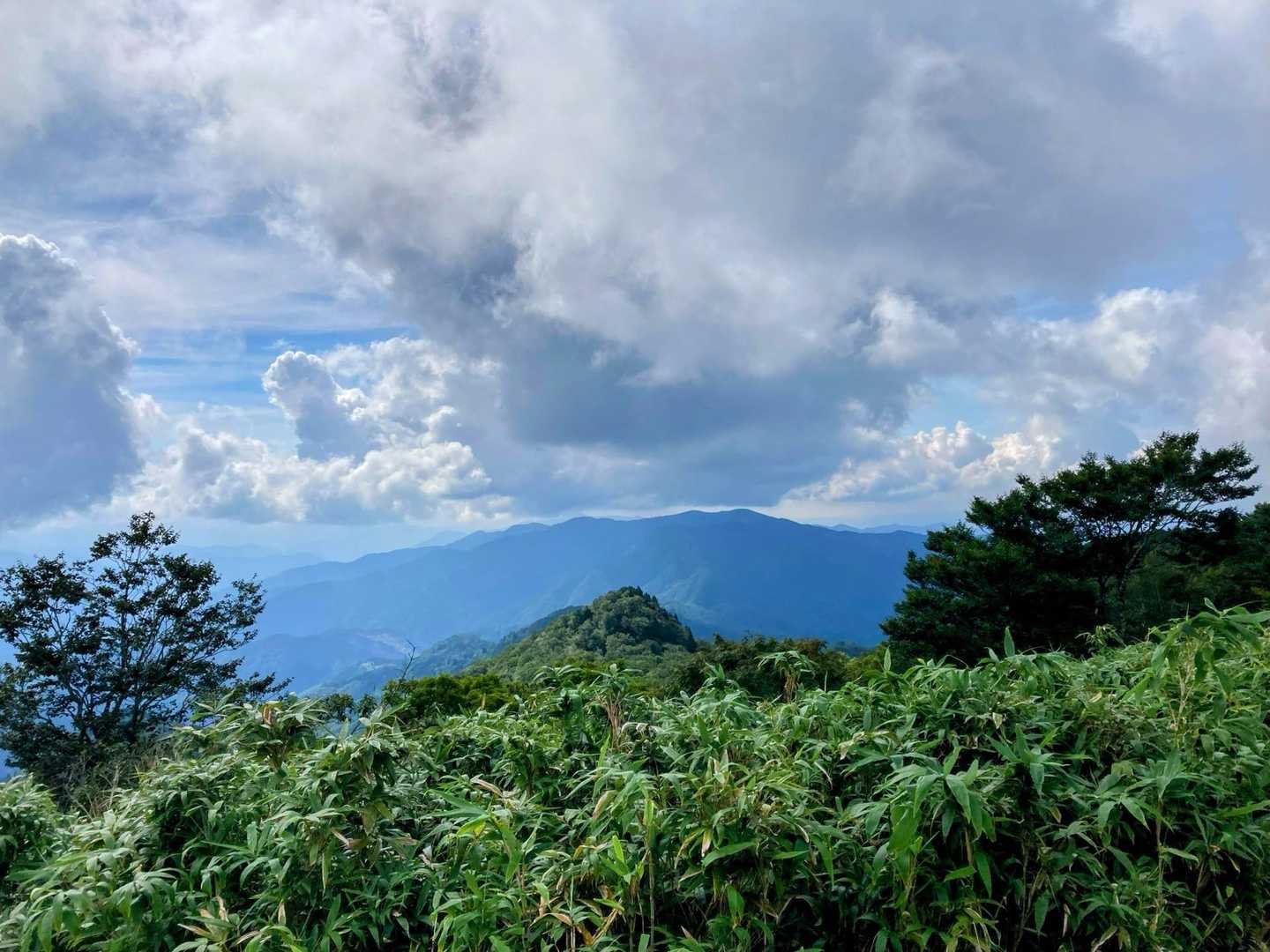 大通峠-三室山 往復コースの写真