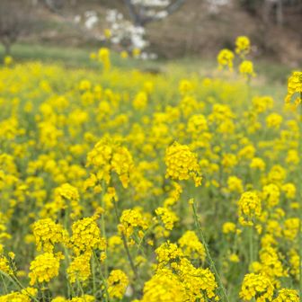 毎年楽しみです😊
