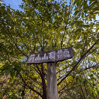 苦難を乗り越えて無事見事に低山の前山山頂、標高185m地点に登頂。祝㊗️300個目。