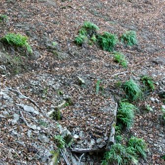 崩落ゾーン…

今日一日で、👨🏻‍🏫の崩落箇所の渡り方の経験値がだいぶLv🆙🦿してると思うの。笑