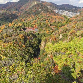 でも、ここまた来てみたいと思える場所でした😊❗️