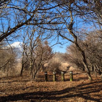 アンテナ見えるもうすぐ大平山🎶