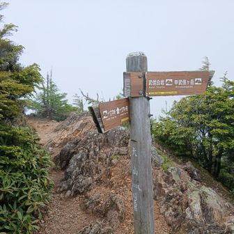 大山山頂
