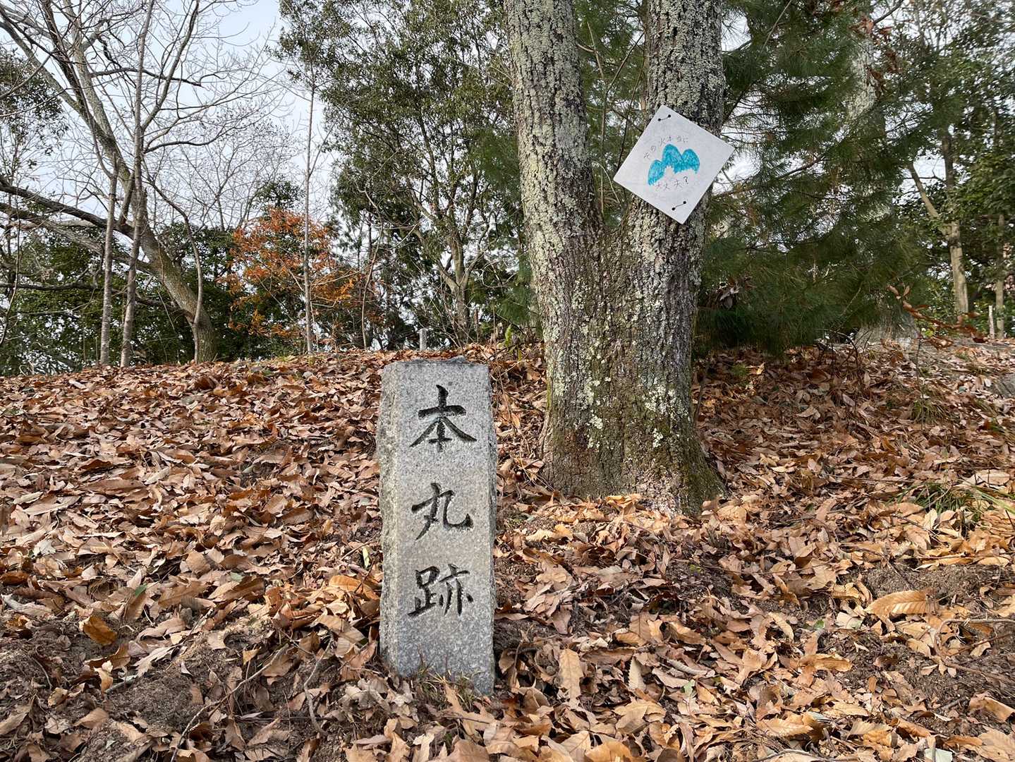 本丸跡って書いてあるだけで、ワクワクしてきますね💓
