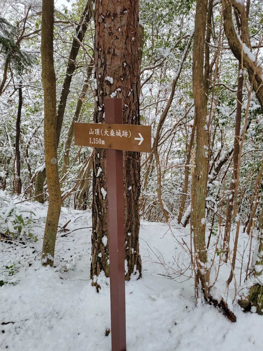 山城跡のため、色んな史跡が残っており、案内板もあり、歩きやすいです。