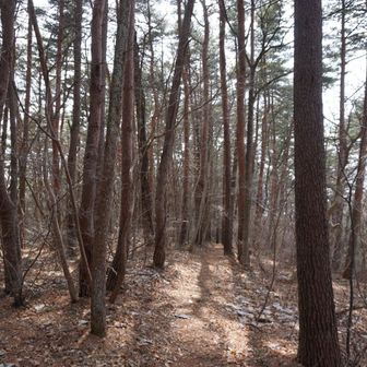 下りは少しヒンヤリしました