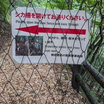 鹿よけネットをくぐります
