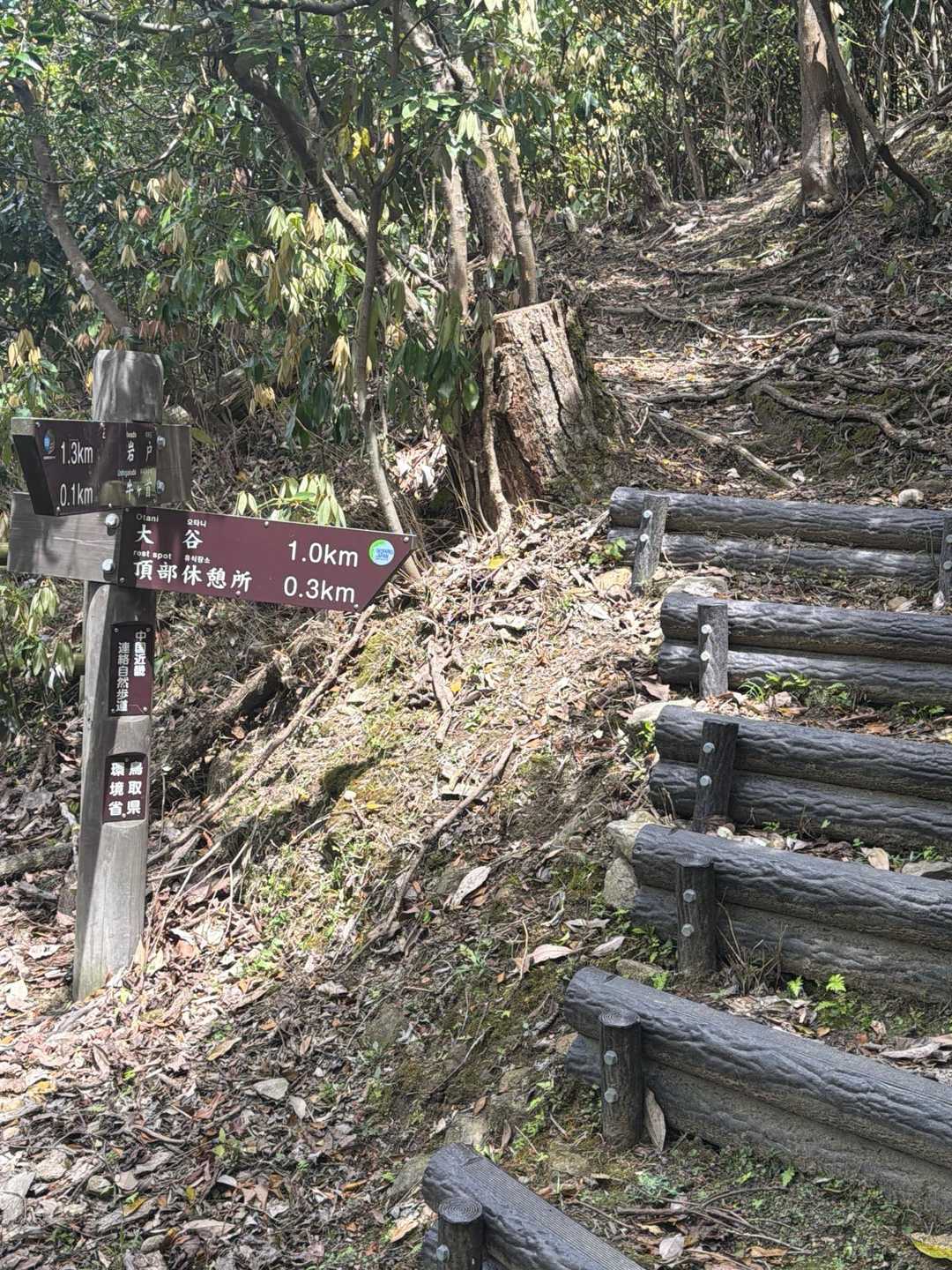 結構な急登もあります