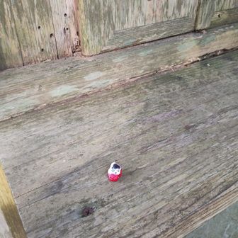 出会えたらラッキーみたいです
最後の一つ頂きましたー
今年の遠征先の山頂に置いといて繋げてもらおうかなと思ってます♪