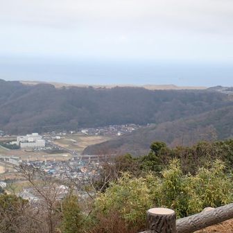 日本海を望む