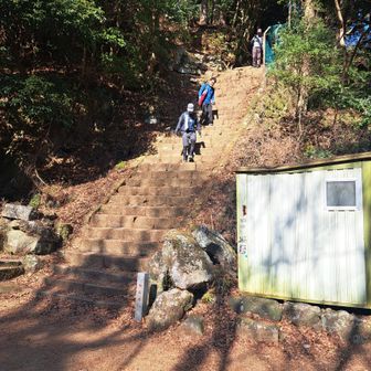 男坂の石段は、このような階段です。急なのと、一段の幅が狭く、歩きづらいため、下りに使うのはお勧めしません。