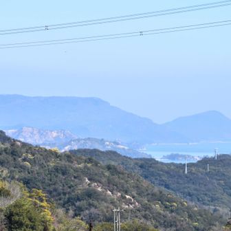 　　　　豊島　小豆島　方向
