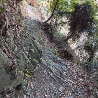 冷水浦駅へ降りていきます。このあたりは落ちないように少し注意。