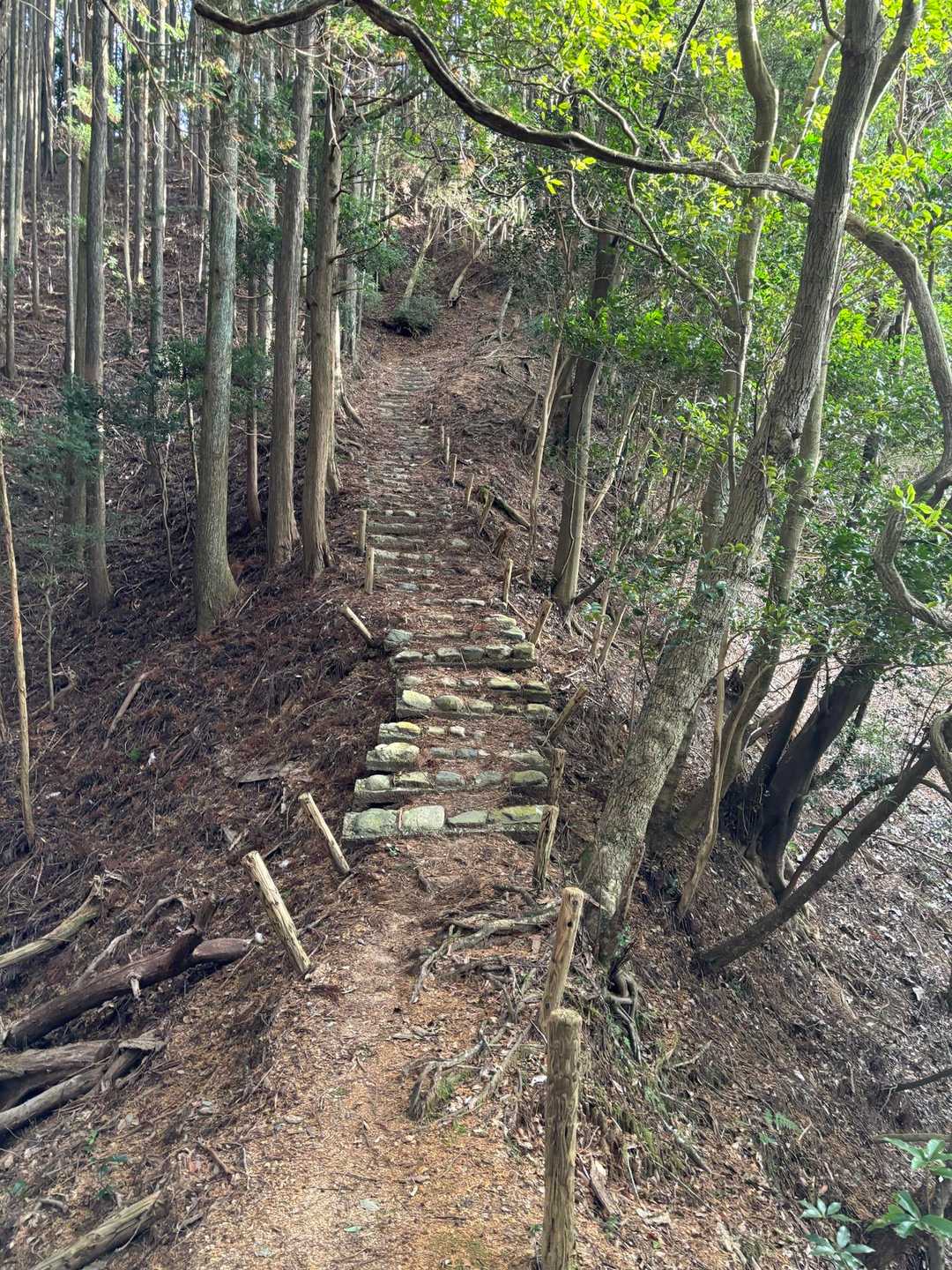 鈴鹿峠-三子山 往復コースの写真