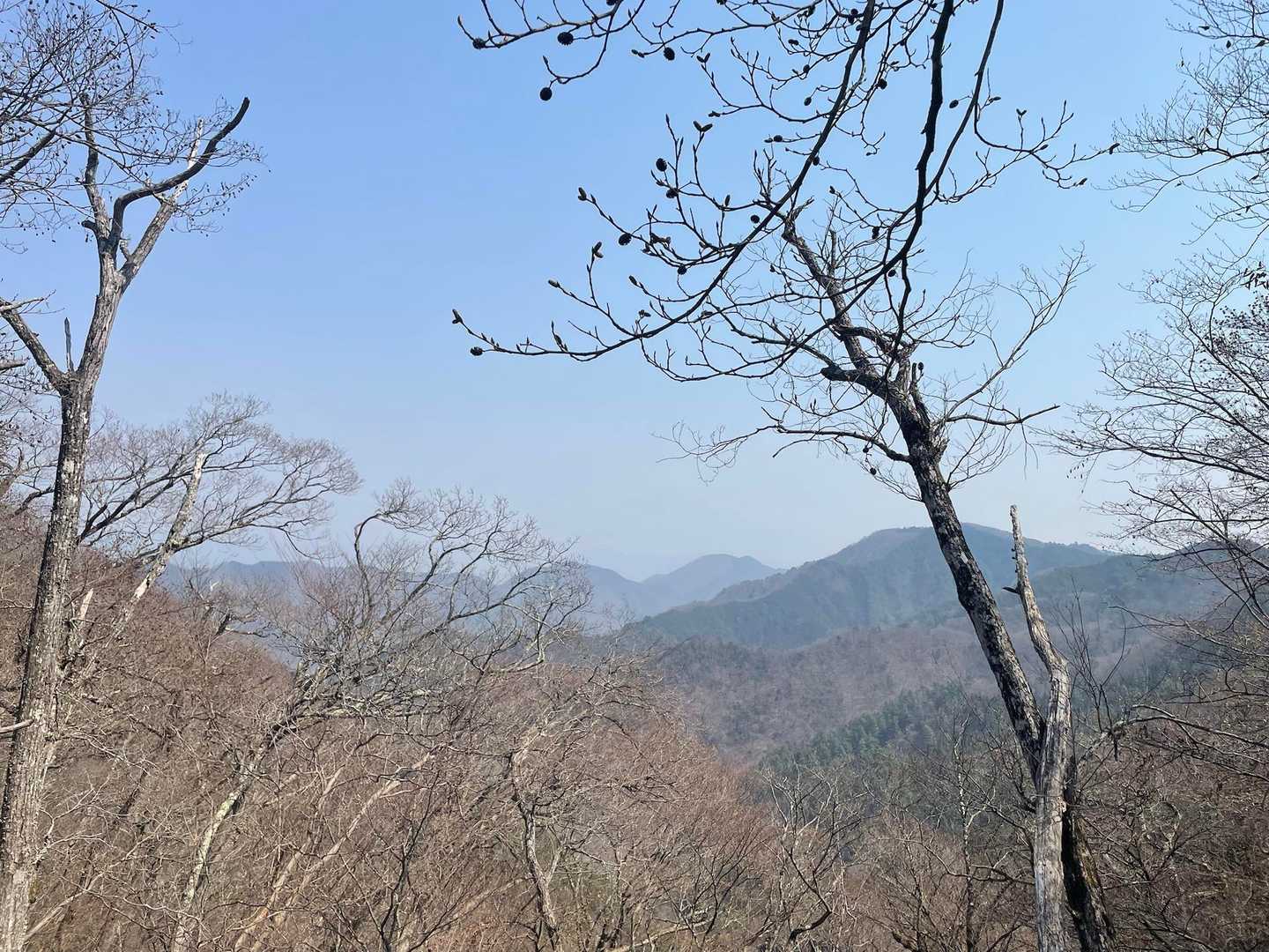 開けた〜😄