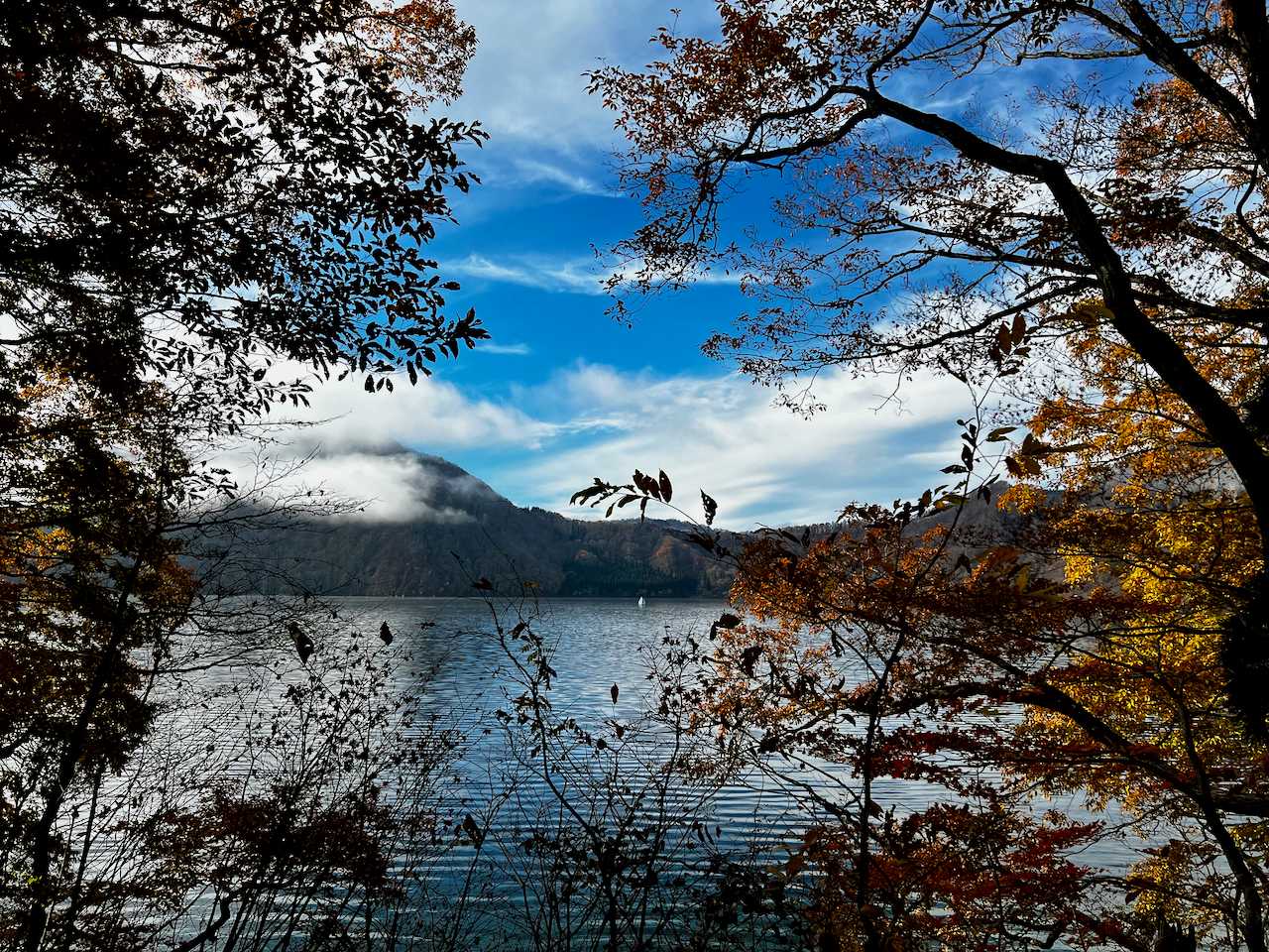 惣山-前山 周回コースの写真