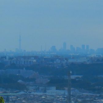 スカイツリーはハッキリ