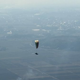 気持ちよさそうだ　千の風の気分なのかな😊ナンマンダブナンマンダブ😌