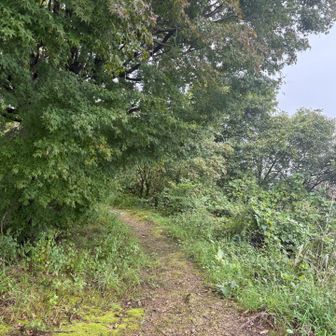 さっさと下りる。