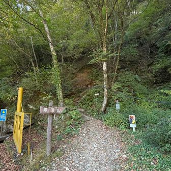 登山口