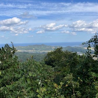 山頂からの眺め