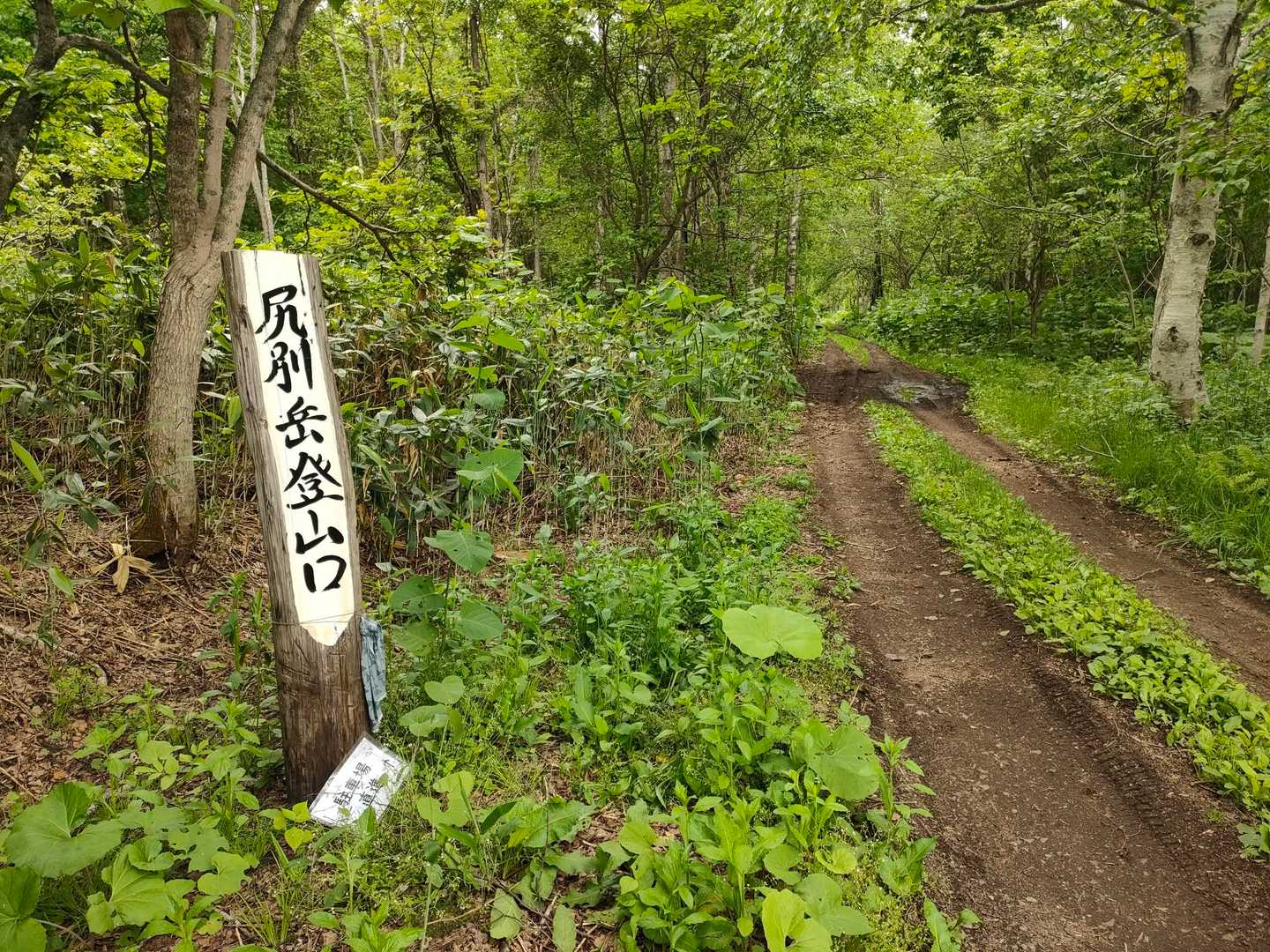 登山口迄無事戻ってきました🖐️