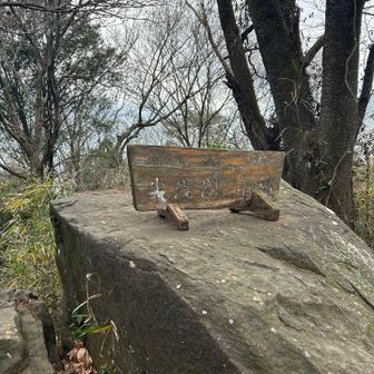 到着
ここでトレランの方達と3回目のすれ違い🏃‍♀️
速っっっ💨👀
あと少しで☔️降りそうですよと教えてもらい
急いで鬼越山へ👣