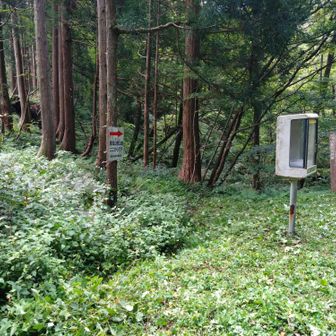 登山口です。対戦よろしくお願いします。