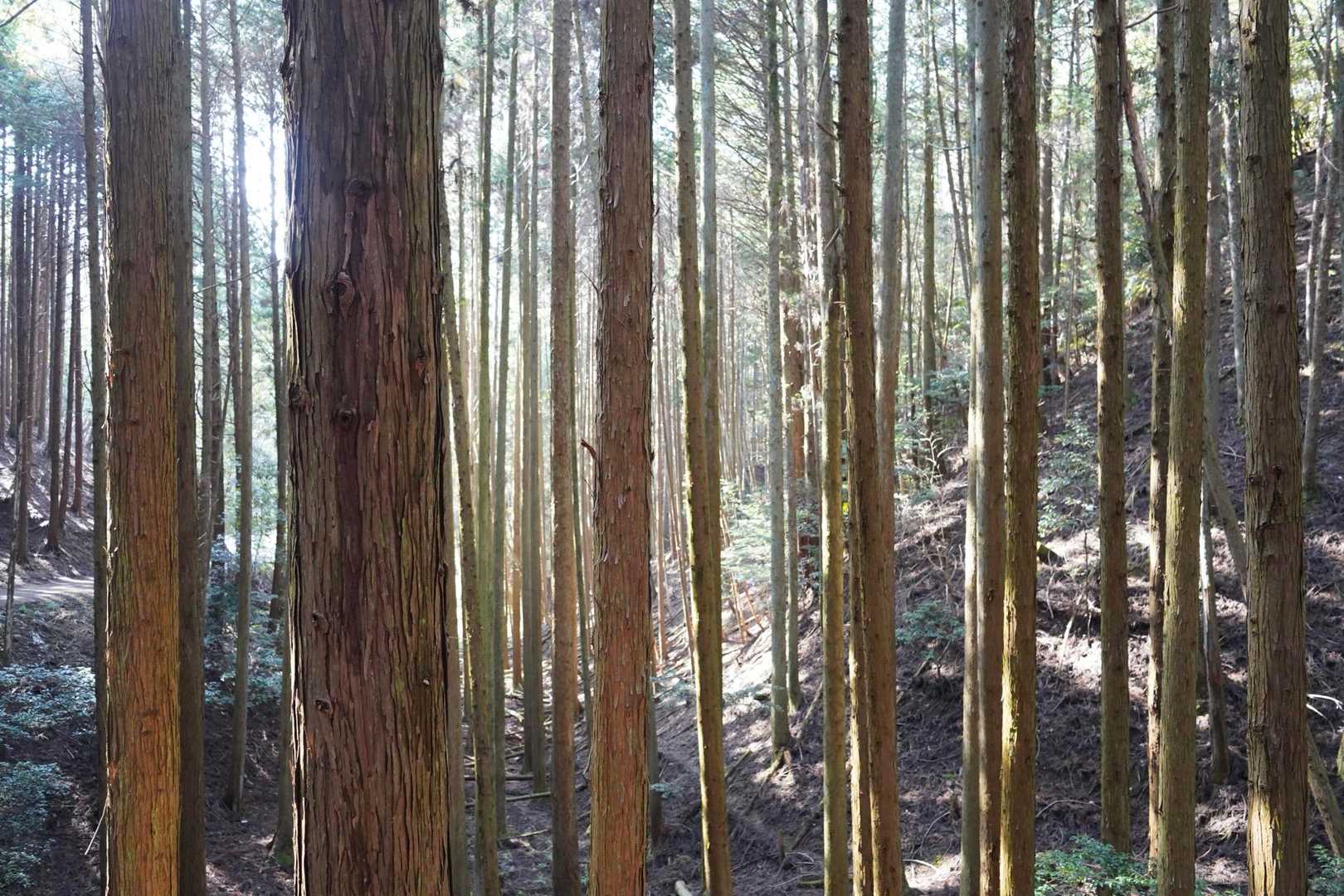 しずかで心地よし