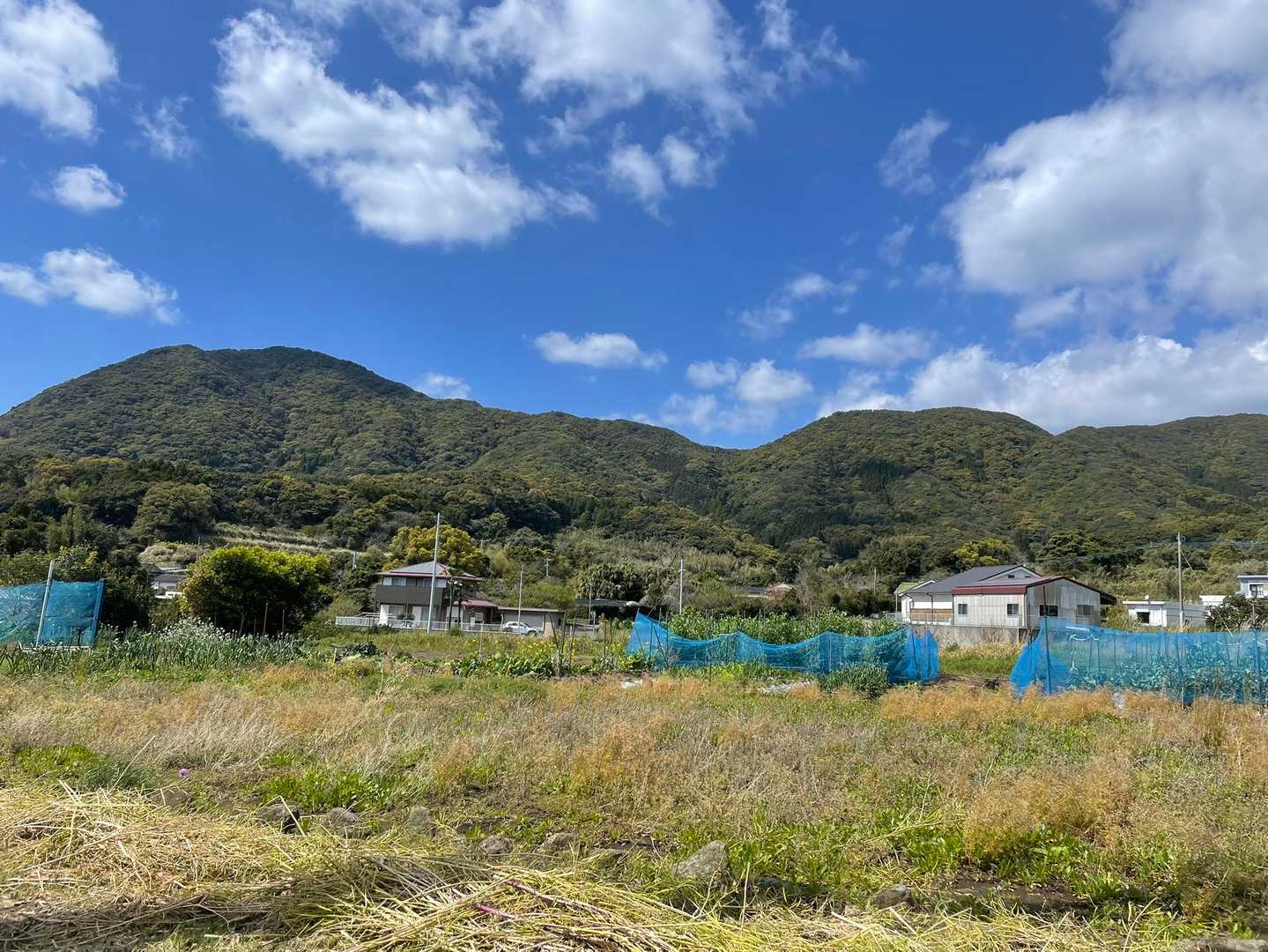 車までテクテク、あの山を歩いたんです、左からずーっと右の端っこまで、