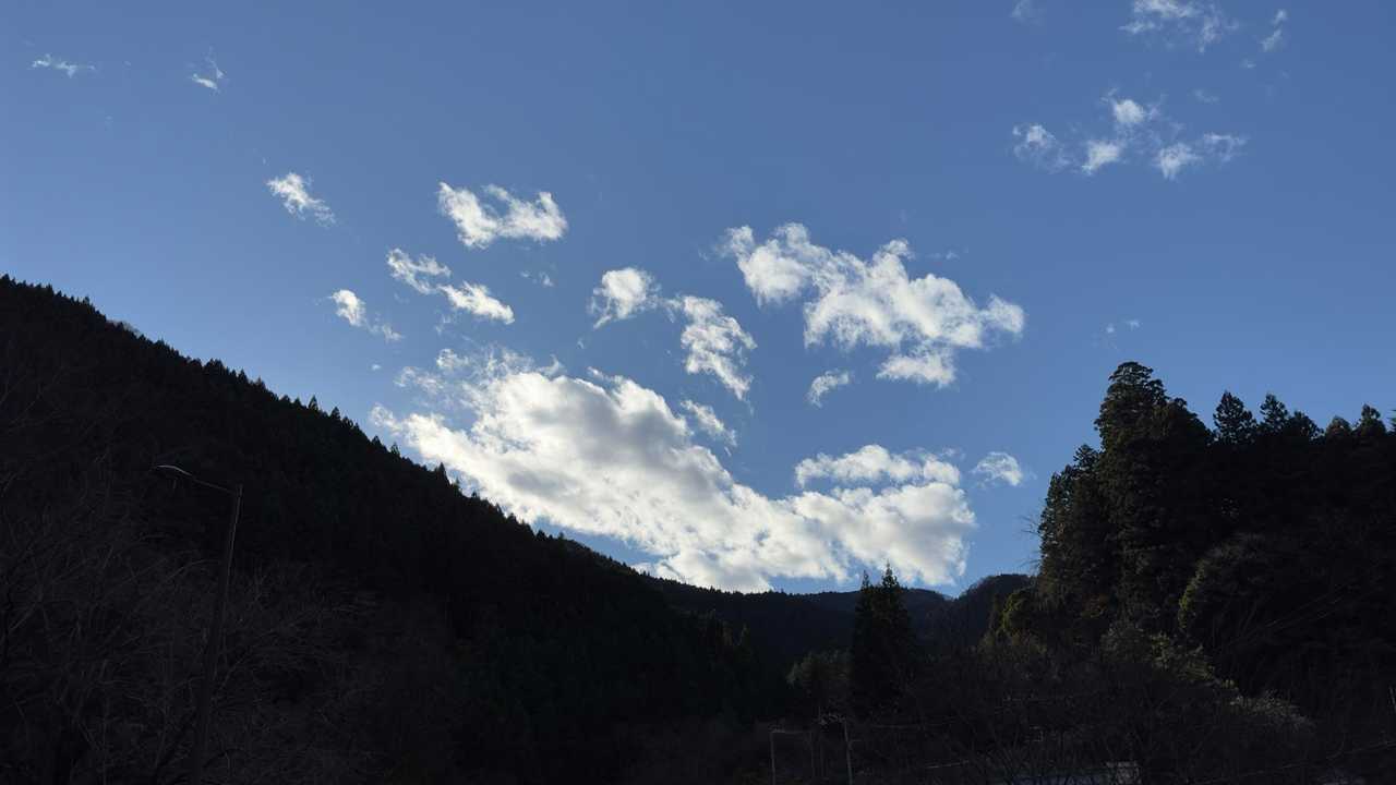 陣馬山・醍醐丸・生藤山・三国山縦走（関東ふれあいの道） の写真 20