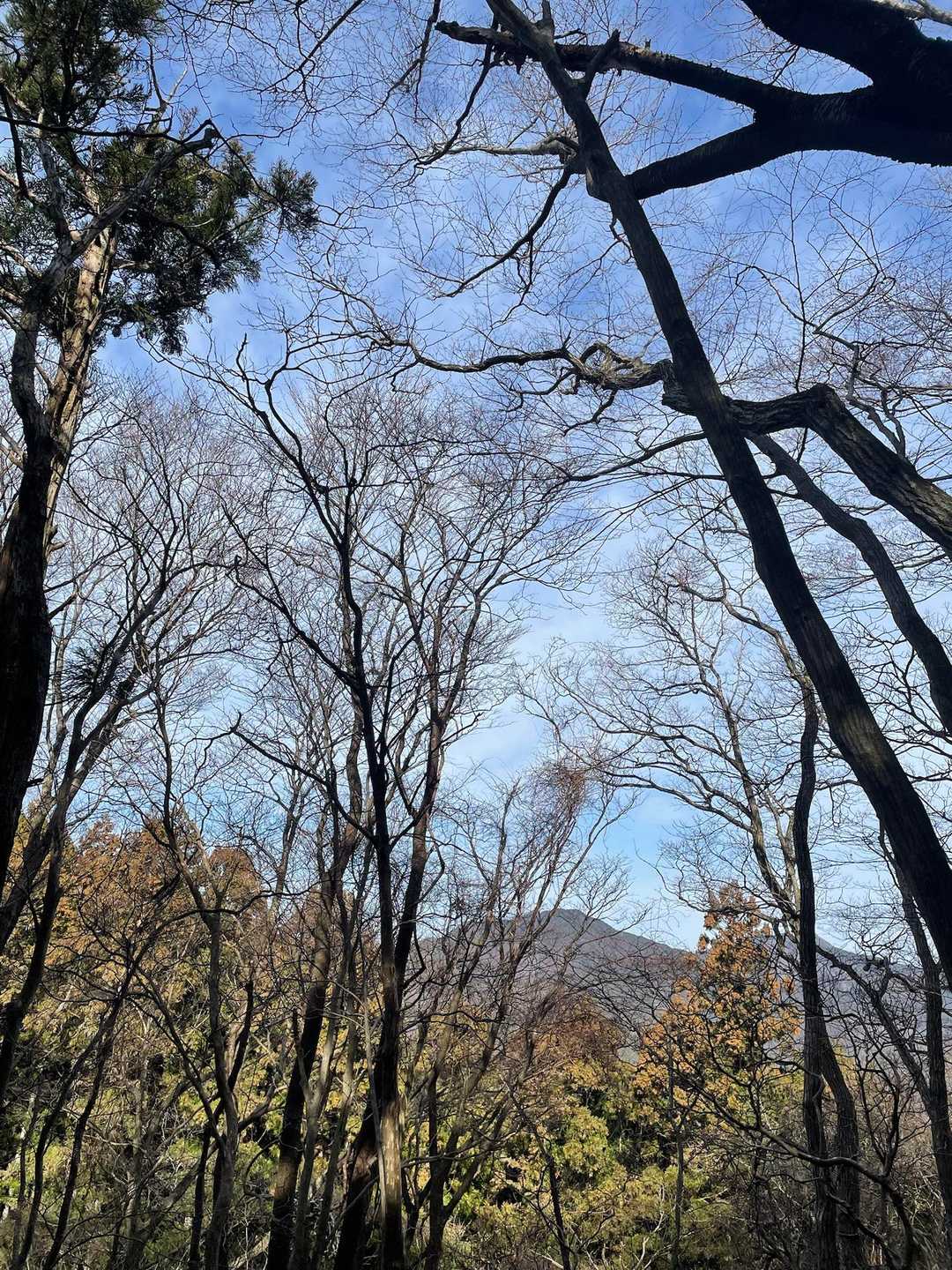 黒米山 往復コースの写真
