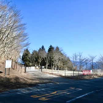 ここね。
なんのことはない林道でも、初めての道は楽しかった。