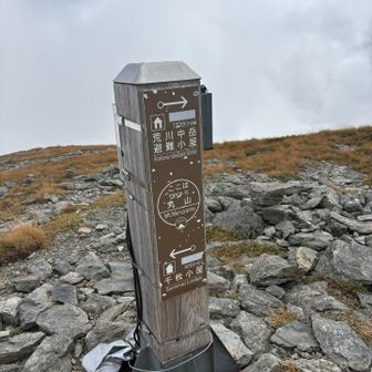 丸山山頂