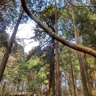 大岳山荘 ここまでは晴れてた