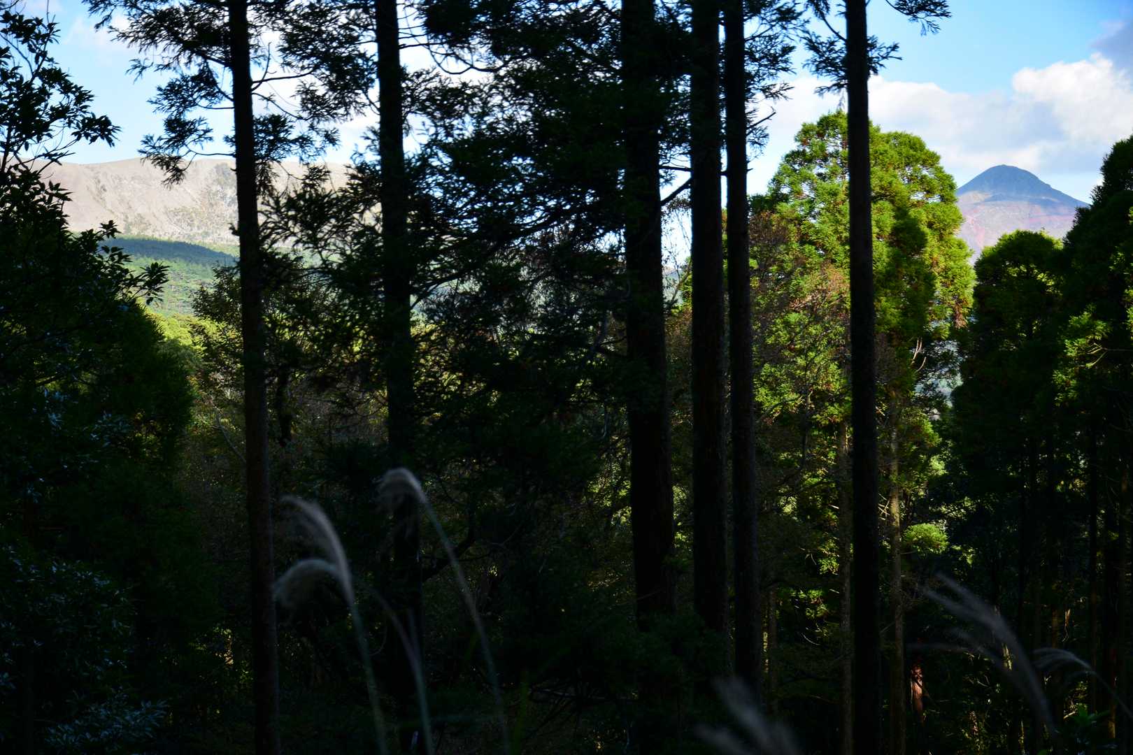 烏帽子岳 往復コースの写真