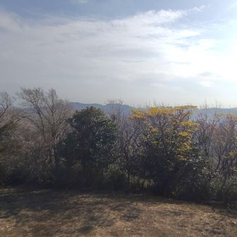 まあいい。先へ行こう。