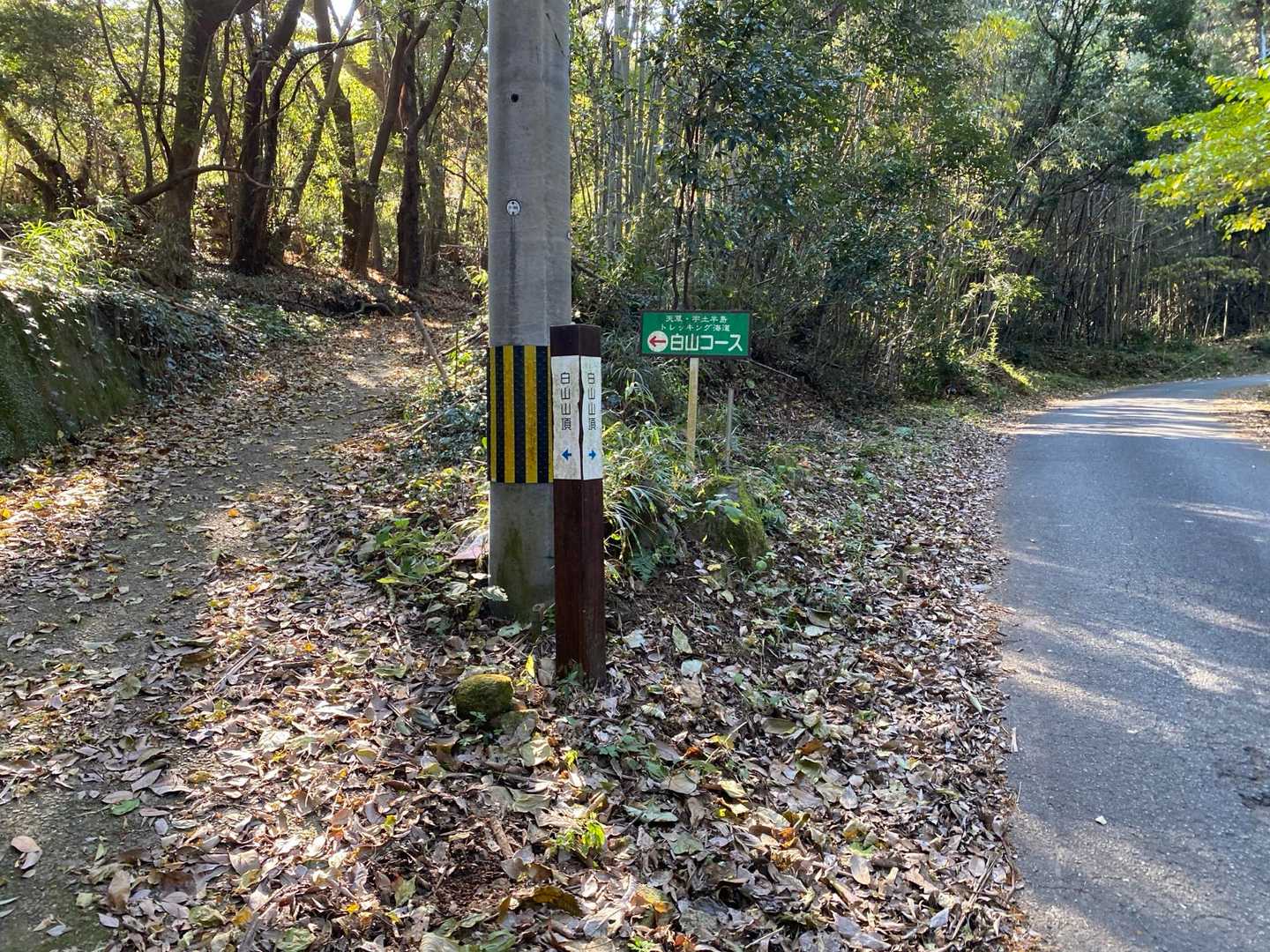 やがてフィニッシュ。
のんびり歩けるいいコースでした。
山頂の桜が咲くころまた来てみようかな。

下山後　駐車場でまみちゃんと解散。
今日も楽しい山時間でした🎶