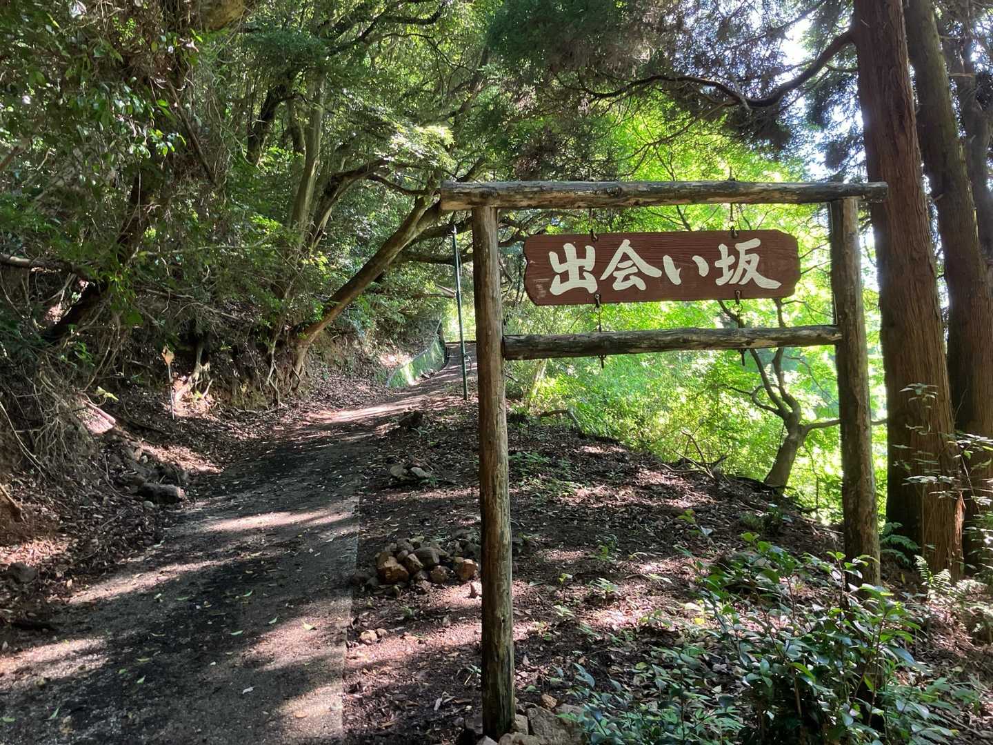 行きはこちらから