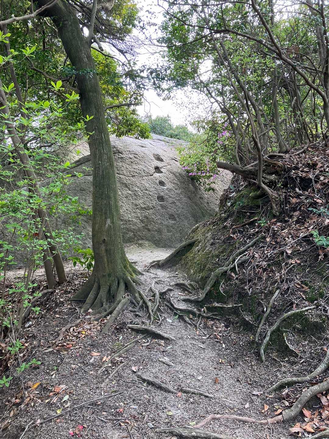 八丈岩