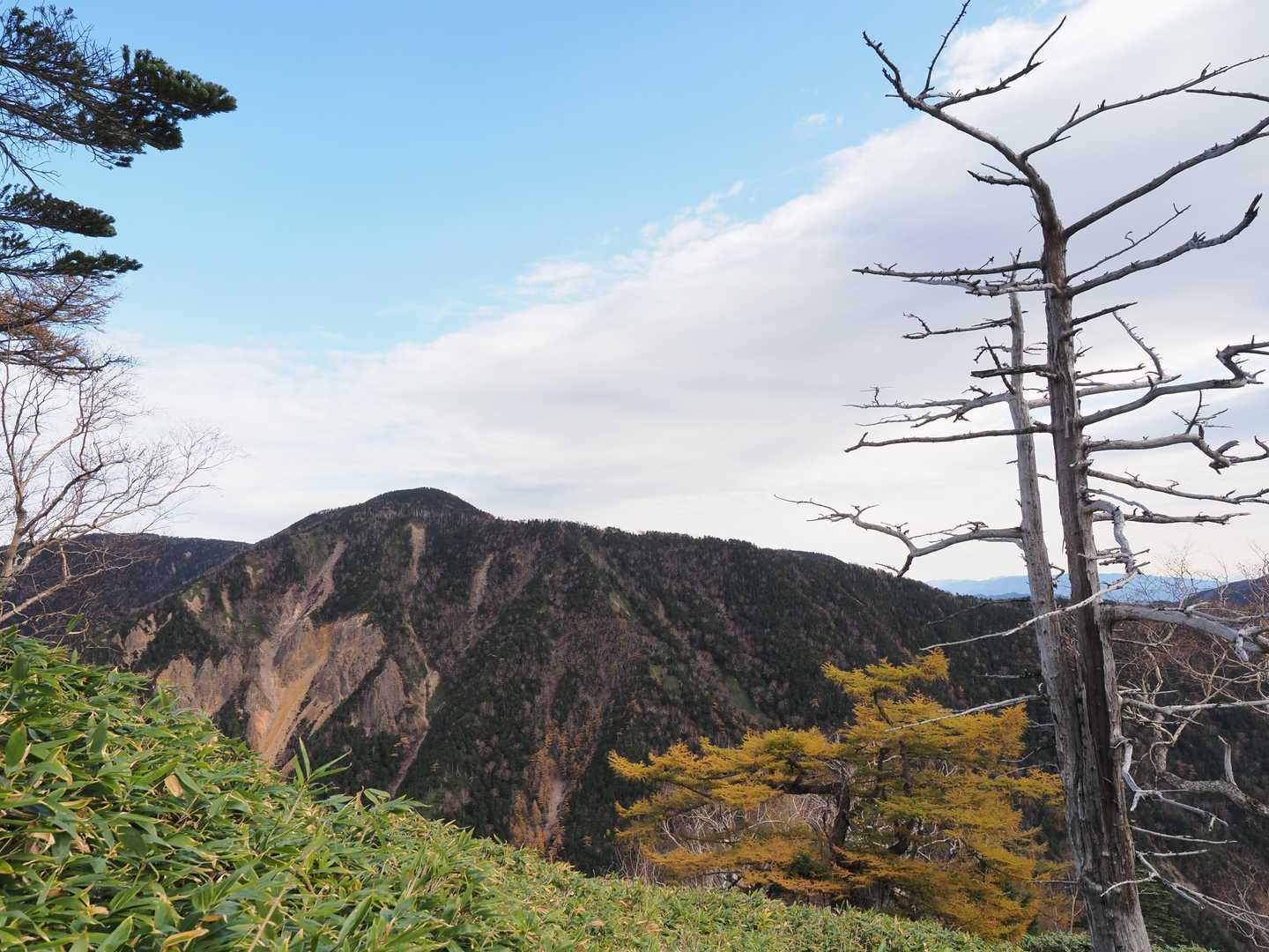 こちらの山は荒々しい山肌⛰