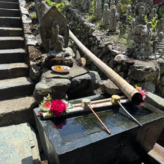 4番　金昌寺の花手水