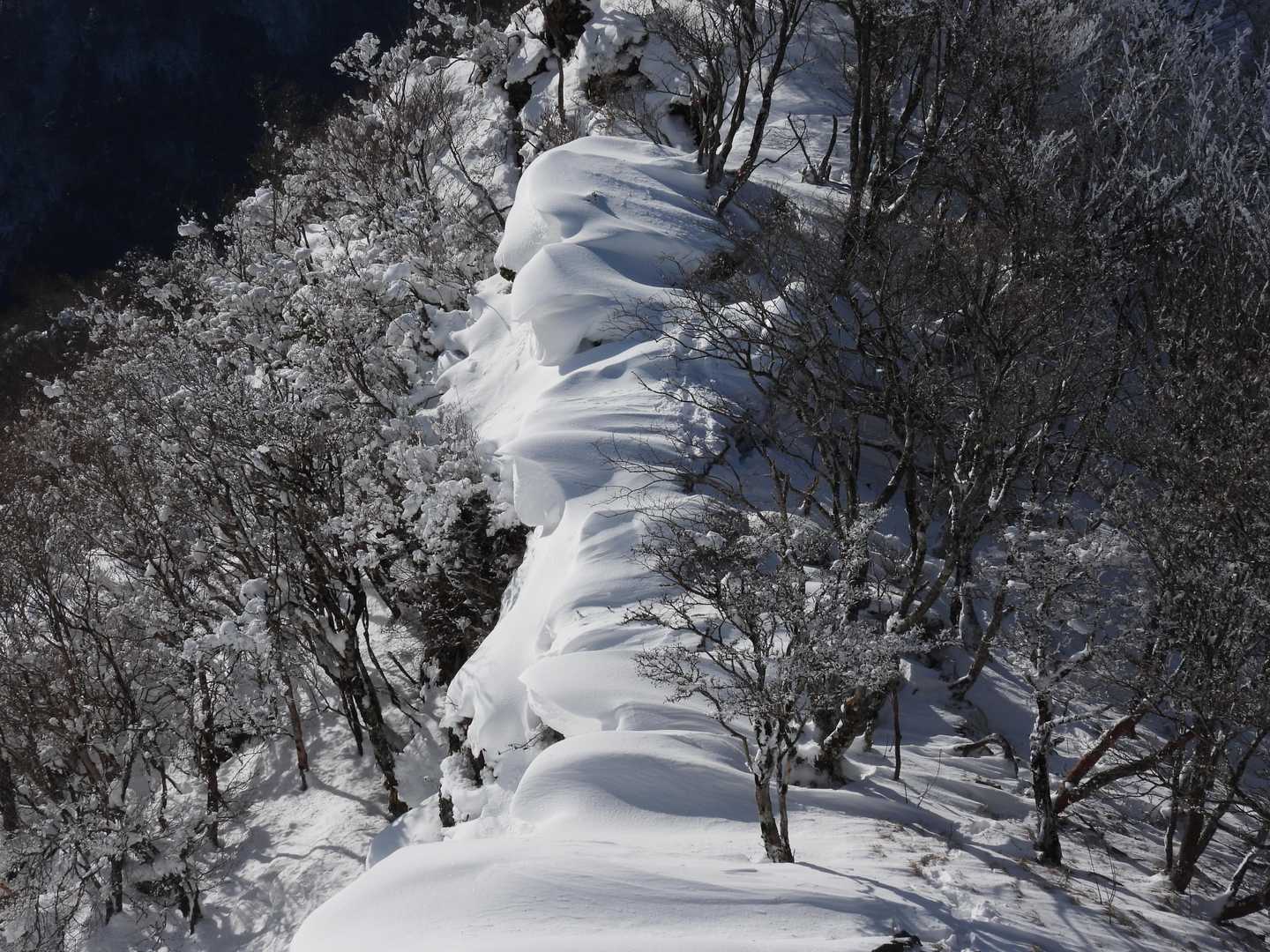 川成峠-樫戸丸 往復コースの写真