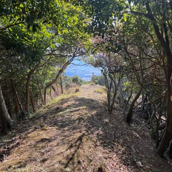 その反対側は眺望あり