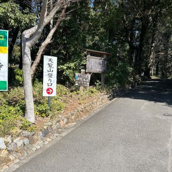 今日はこちら側から