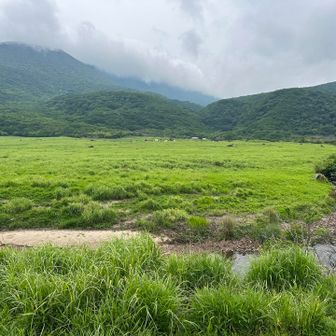 坊ガツル、さようなら