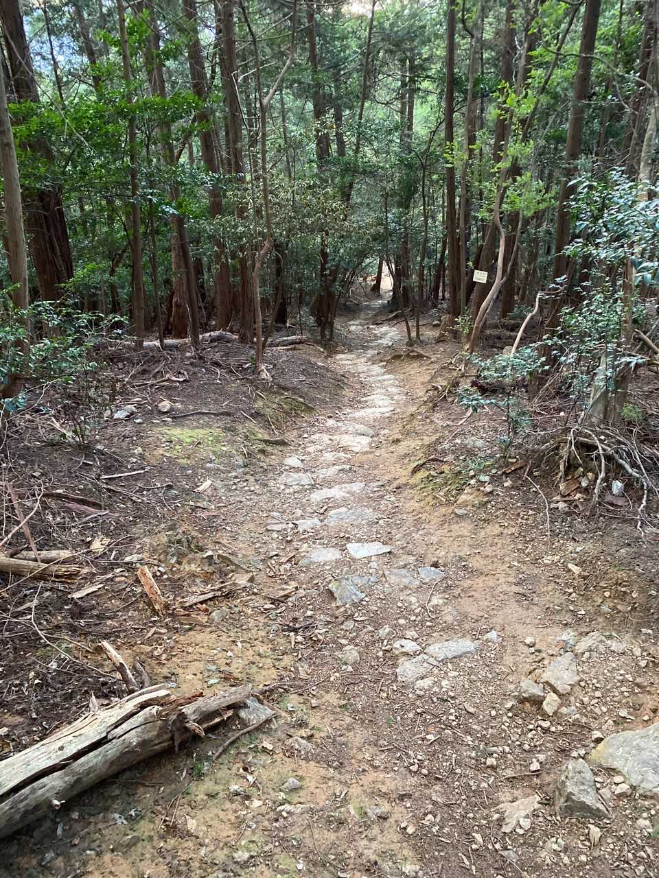 三上山登山道入口-三上山 周回コースの写真