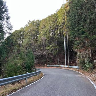 登山口まで戻って来ました！