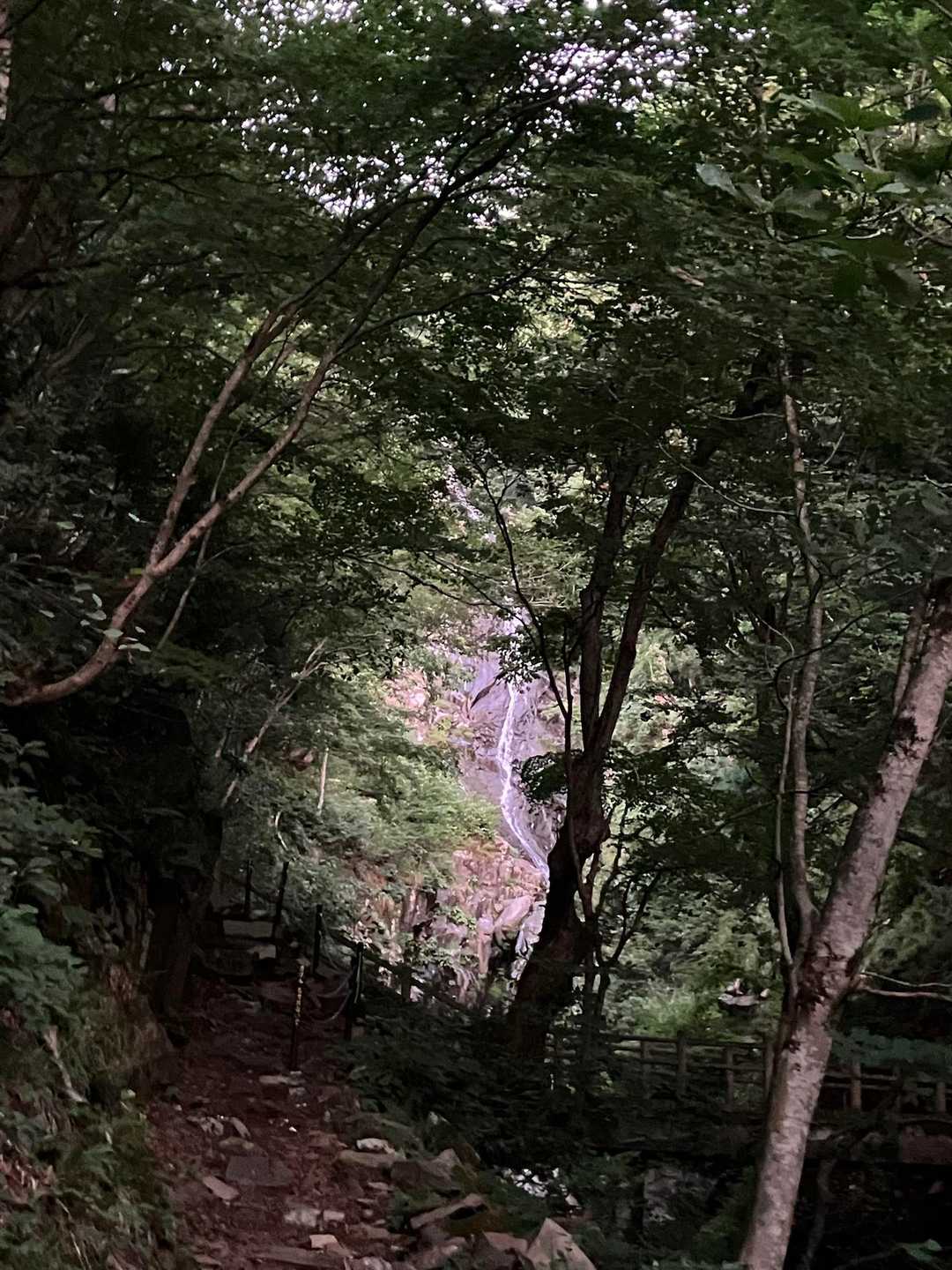 鉢伏口〜親水公園〜氷ノ山山頂〜東尾根　周回コースの写真
